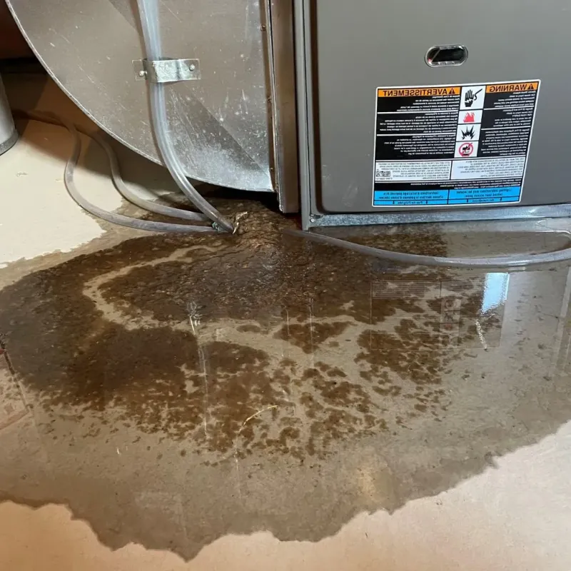 Pipe Burst and Leak Restoration in Broadwater County, MT